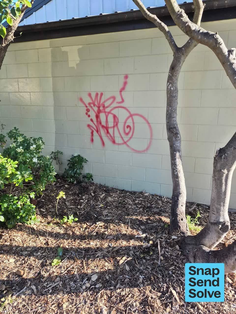 The photograph attached to this graffiti on a bus stop or public toilet report