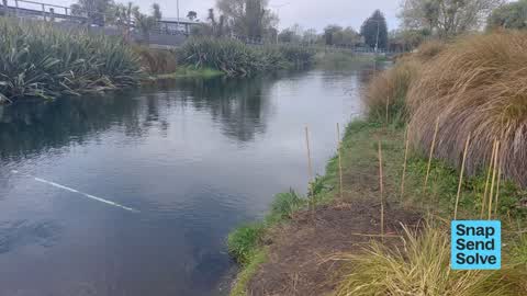 Park - General Request — a report photo