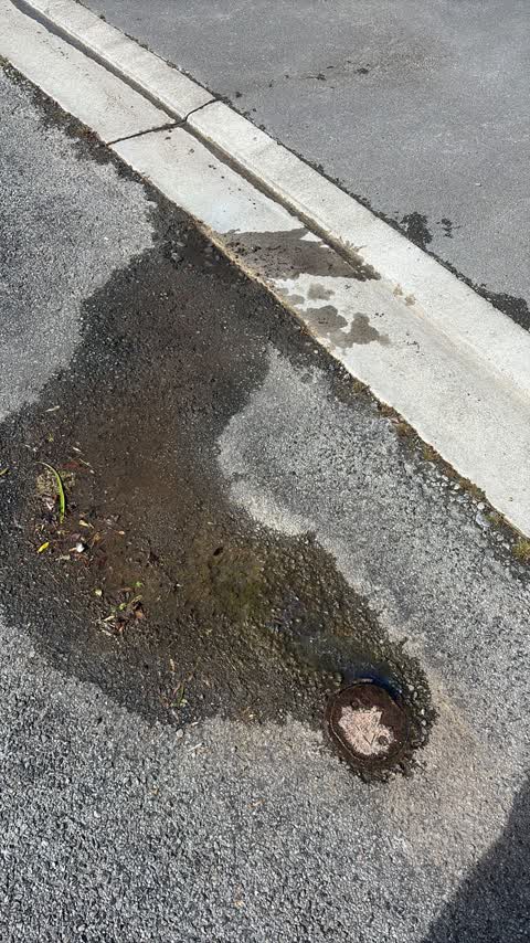 Water Leak, a report photo
