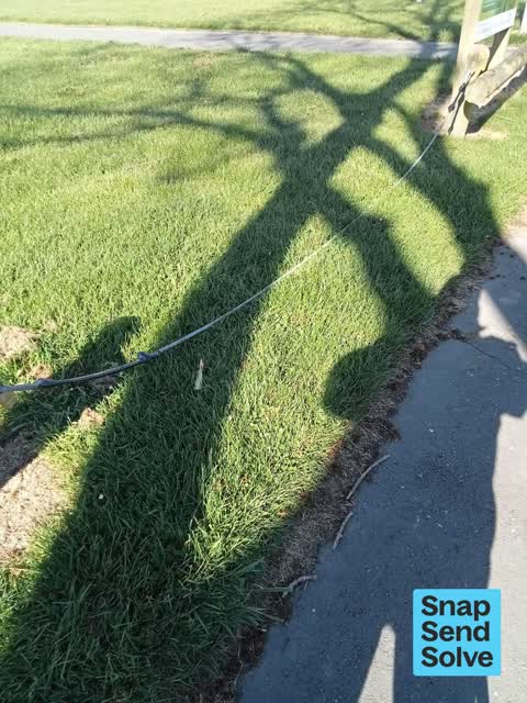Park - General Request — a report photo
