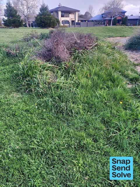 Park - General Request, a report photo