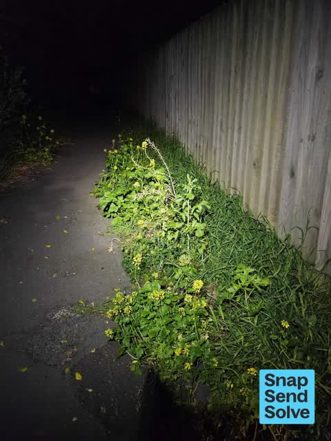 Overgrown Vegetation, a report photo