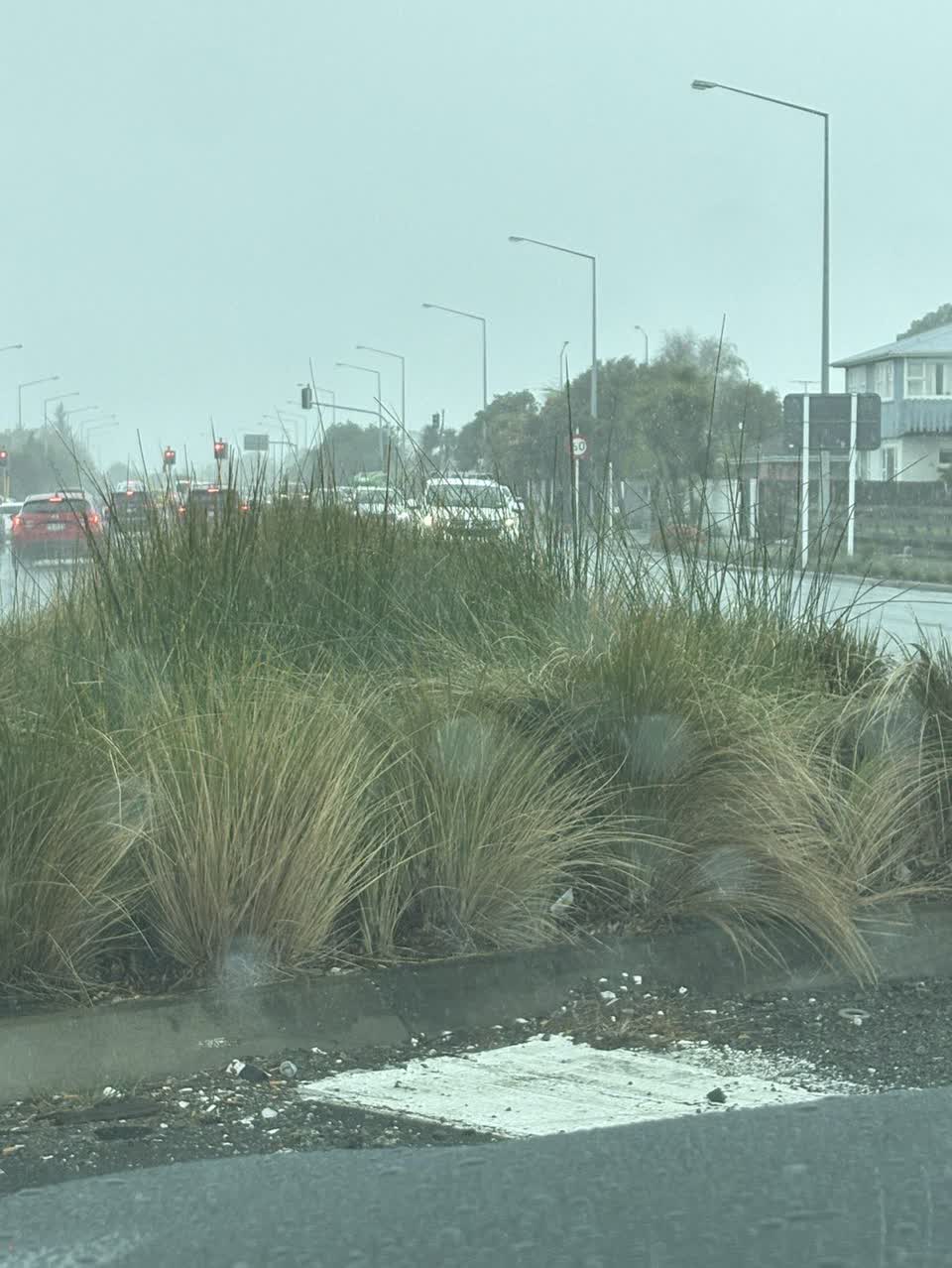 The photograph attached to this overgrown vegetation report