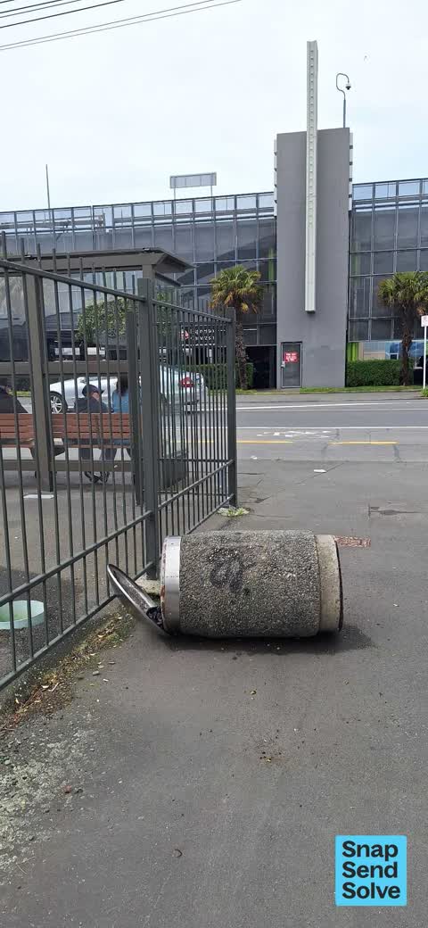 Rubbish and Bins - General, a report photo