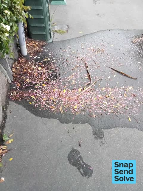 Water Leak, a report photo