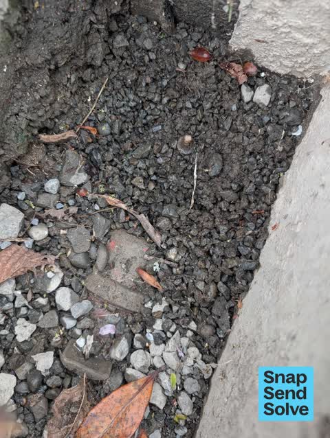Water General, a report photo