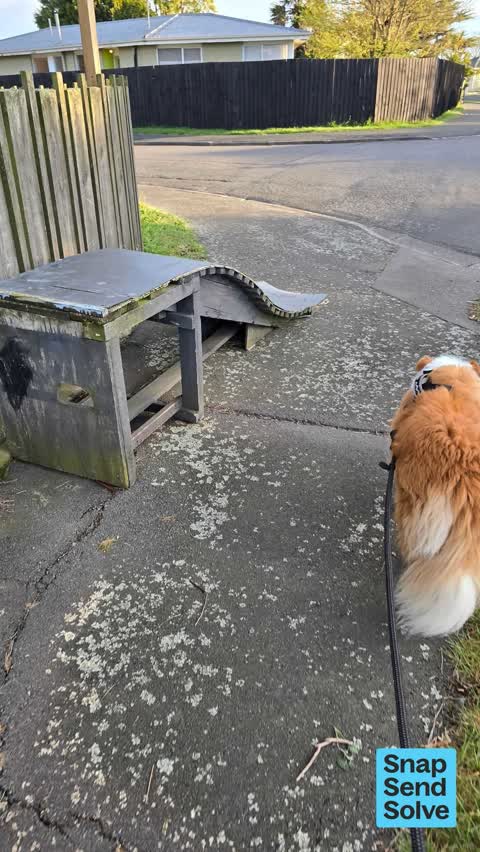 Dumped Rubbish, a report photo