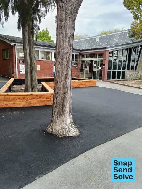 Trees - General, a report photo