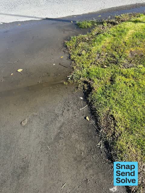 Street Gutters / Storm Water — a report photo