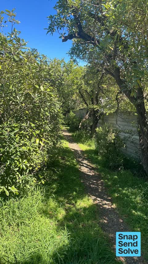 Overgrown Vegetation, a report photo