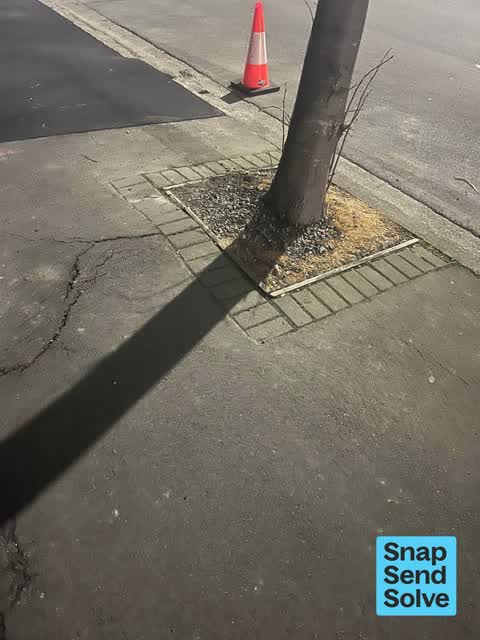 Pavement - Damaged, a report photo
