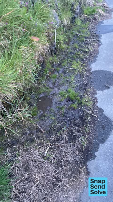 Pavement - Damaged, a report photo