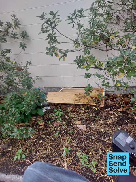 Dumped Rubbish — a report photo