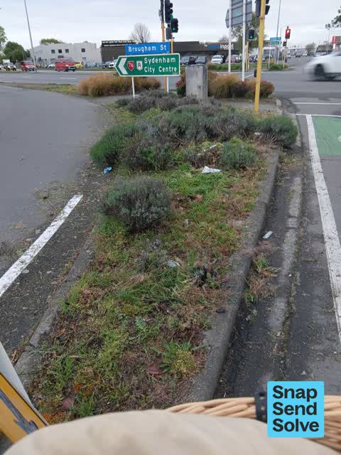 Litter — a report photo