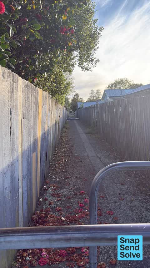 Dumped Rubbish — a report photo