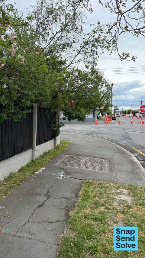 Overgrown Vegetation, a report photo
