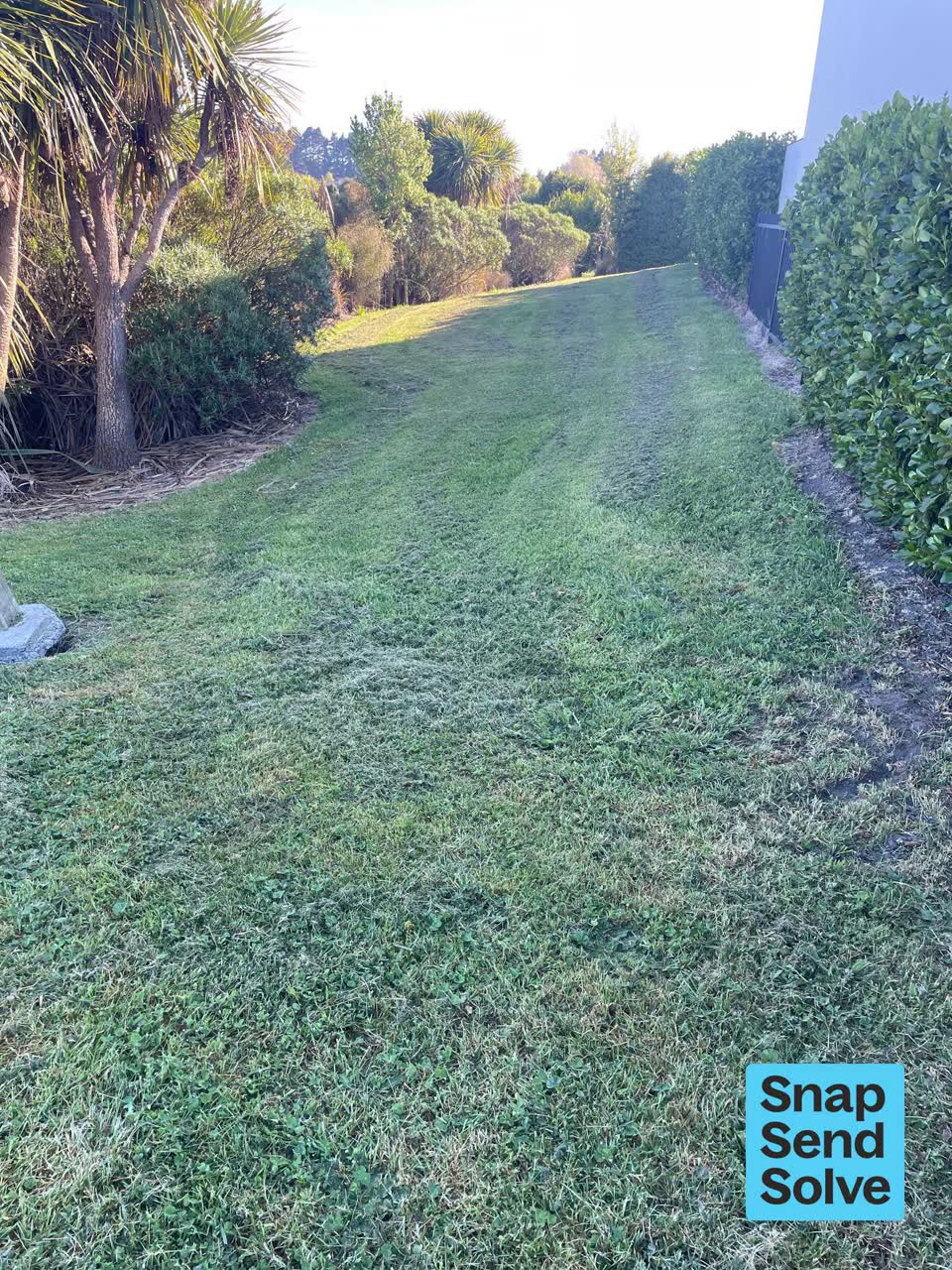 The photograph attached to this overgrown vegetation report