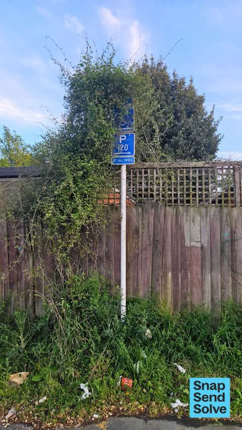 Overgrown Vegetation, a report photo