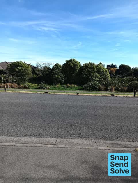 Pavement - Damaged, a report photo