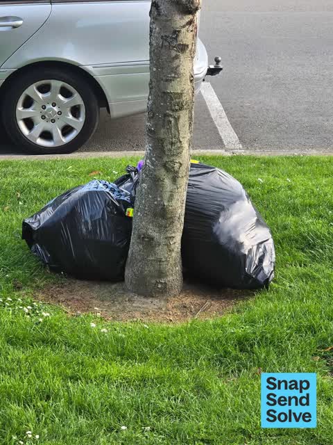 Dumped Rubbish, a report photo