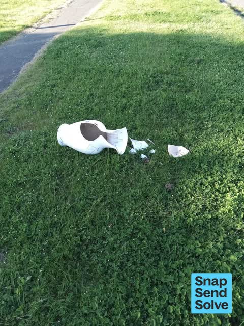Dumped Rubbish, a report photo