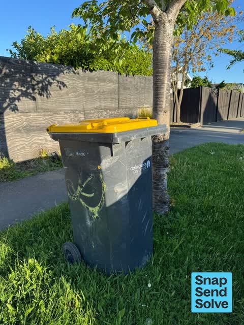 Rubbish and Bins - General, a report photo