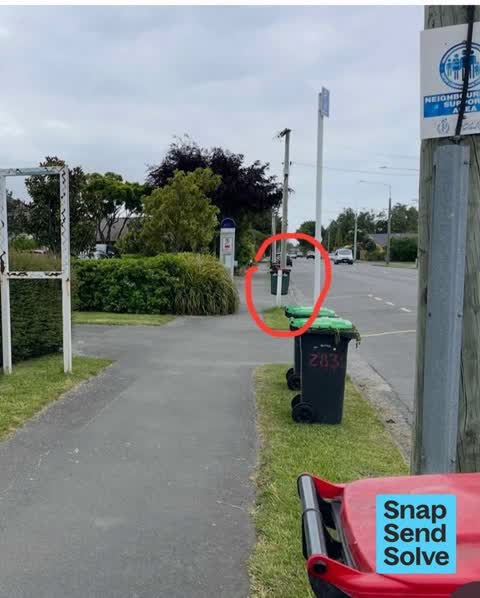 Litter, a report photo
