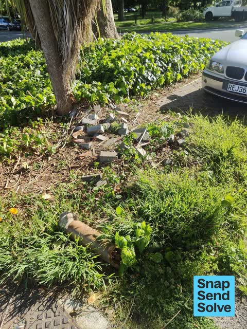 Dumped Rubbish — a report photo