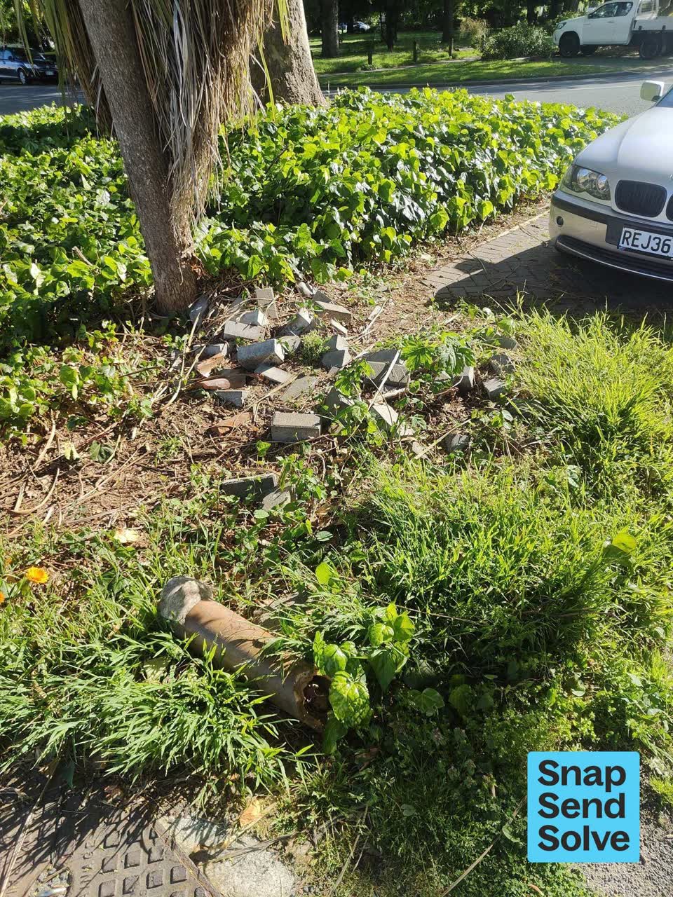 The photograph attached to this dumped rubbish report