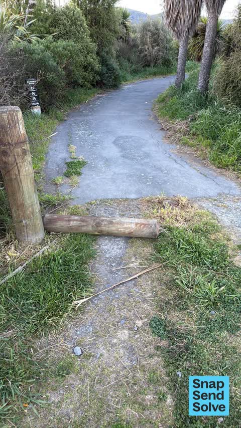 Pavement - Damaged, a report photo