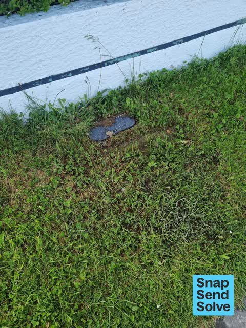 Water Leak, a report photo