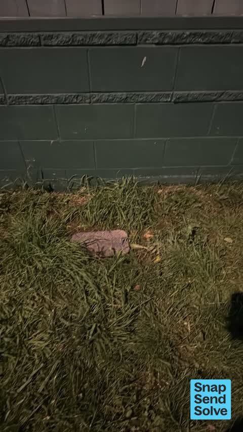 Water Leak, a report photo
