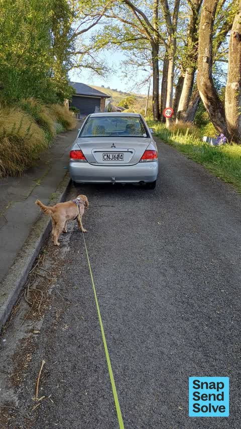 Abandoned Vehicle, a report photo