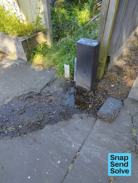 Water Leak, a report photo