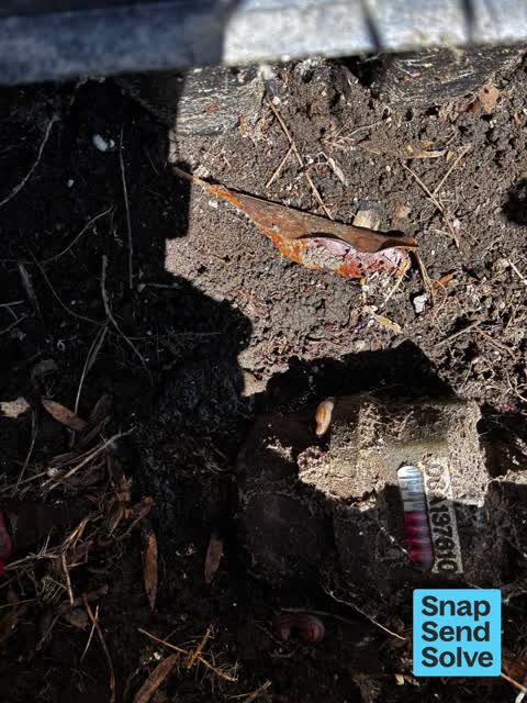Water Leak, a report photo