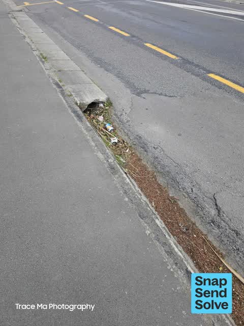 Street Gutters / Storm Water — a report photo