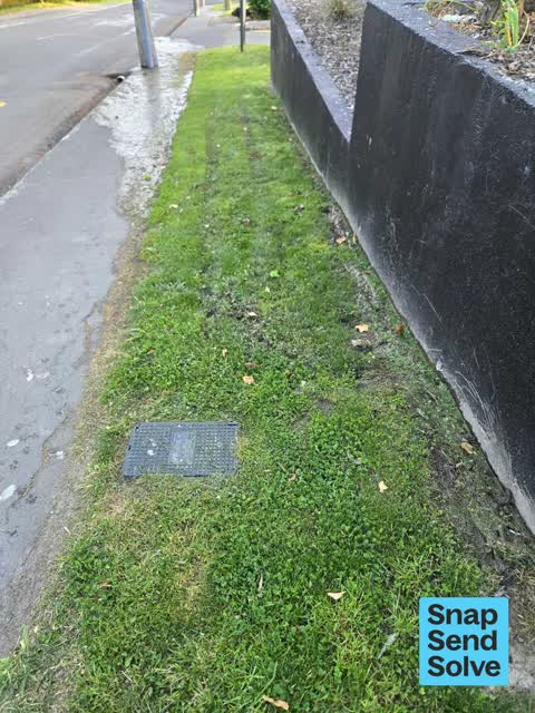 Water Leak, a report photo