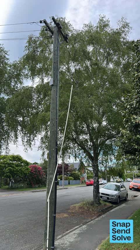 General Request, a report photo