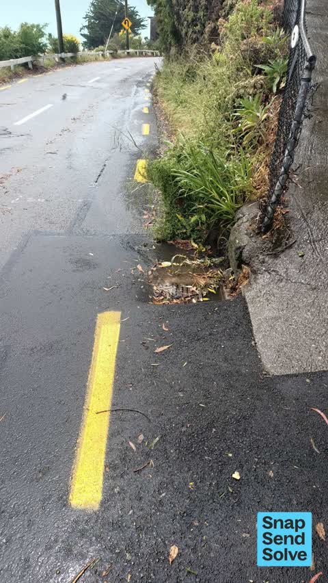 Street Gutters / Storm Water — a report photo