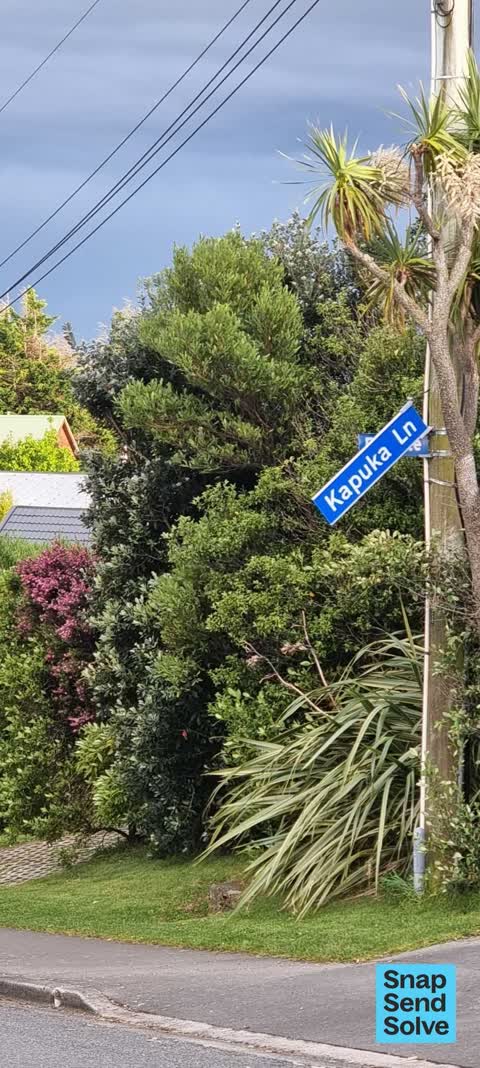 Road Signage, a report photo