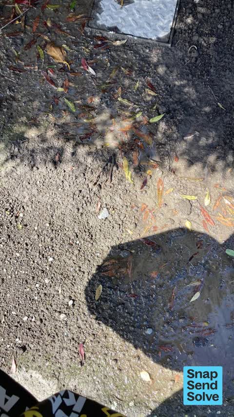 Water Leak, a report photo