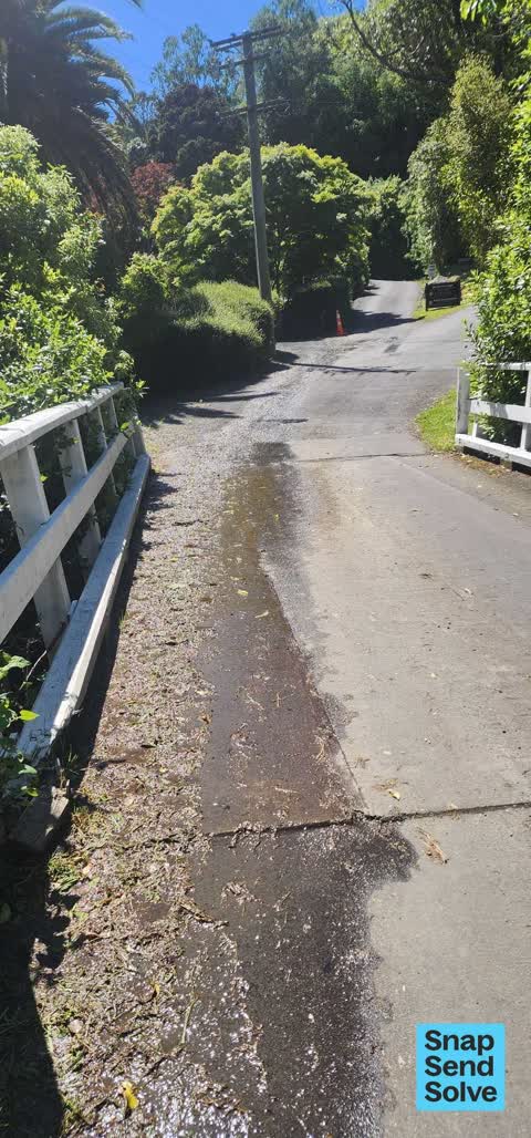 Water Leak, a report photo