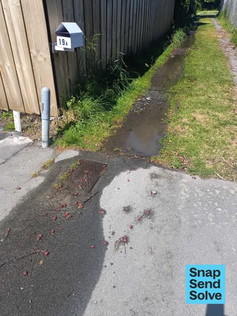Water Leak, a report photo