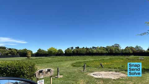 Overgrown Vegetation, a report photo