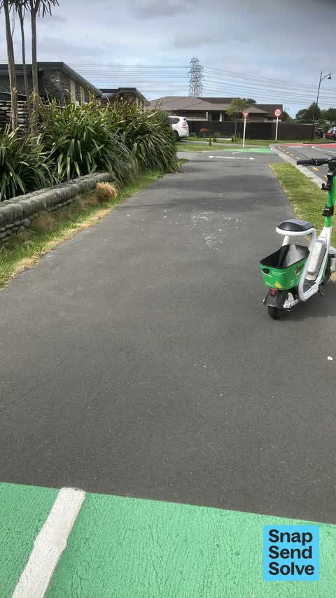 Litter, a report photo