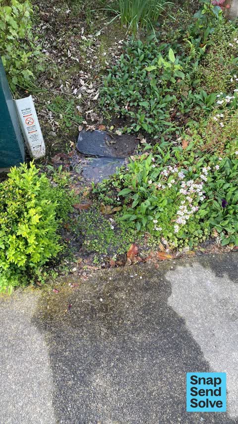 Water Leak, a report photo