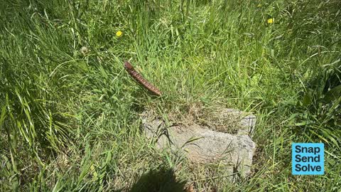 Park - General Request, a report photo