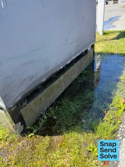 Water Leak, a report photo