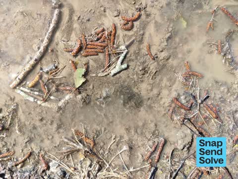 Water Leak — a report photo