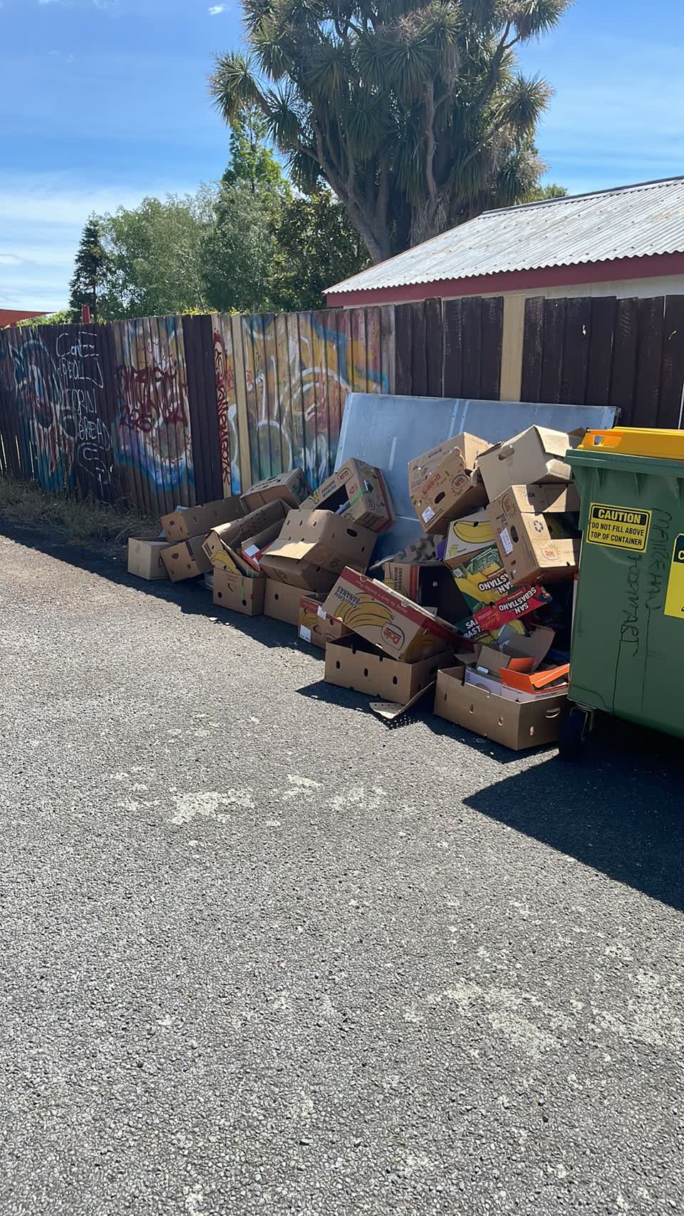The photograph attached to this dumped rubbish report